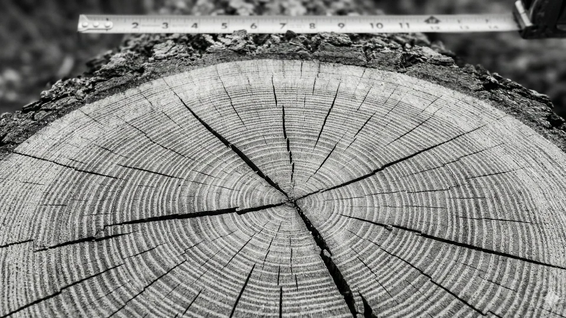 Curved Cyberspace: Why Massive Complex Networks Naturally Live in Hyperbolic Geometry
