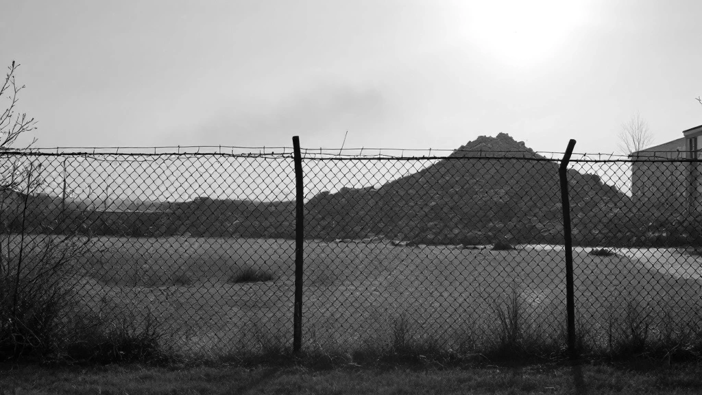 The Toxic Backyard: How Robert Bullard Founded the Environmental Justice Movement